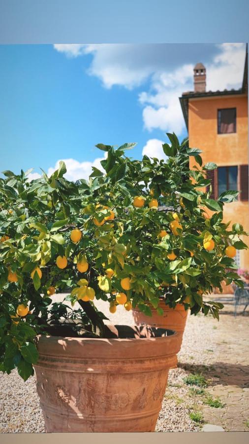 Fattoria Di Catignano Guest House San Giovanni  Exterior photo